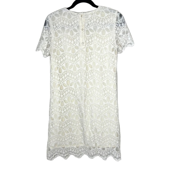 ZARA Womens Cream Lace Short Sleeve Shift Dress - Picture 5 of 11
